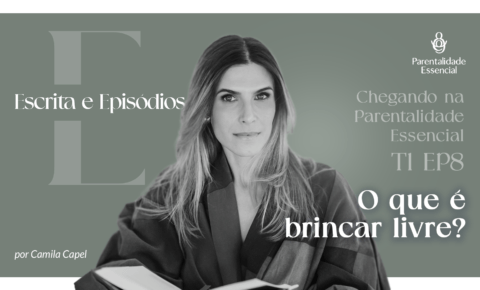 8. O que é brincar livre?