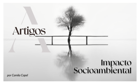 8. Impacto Socioambiental