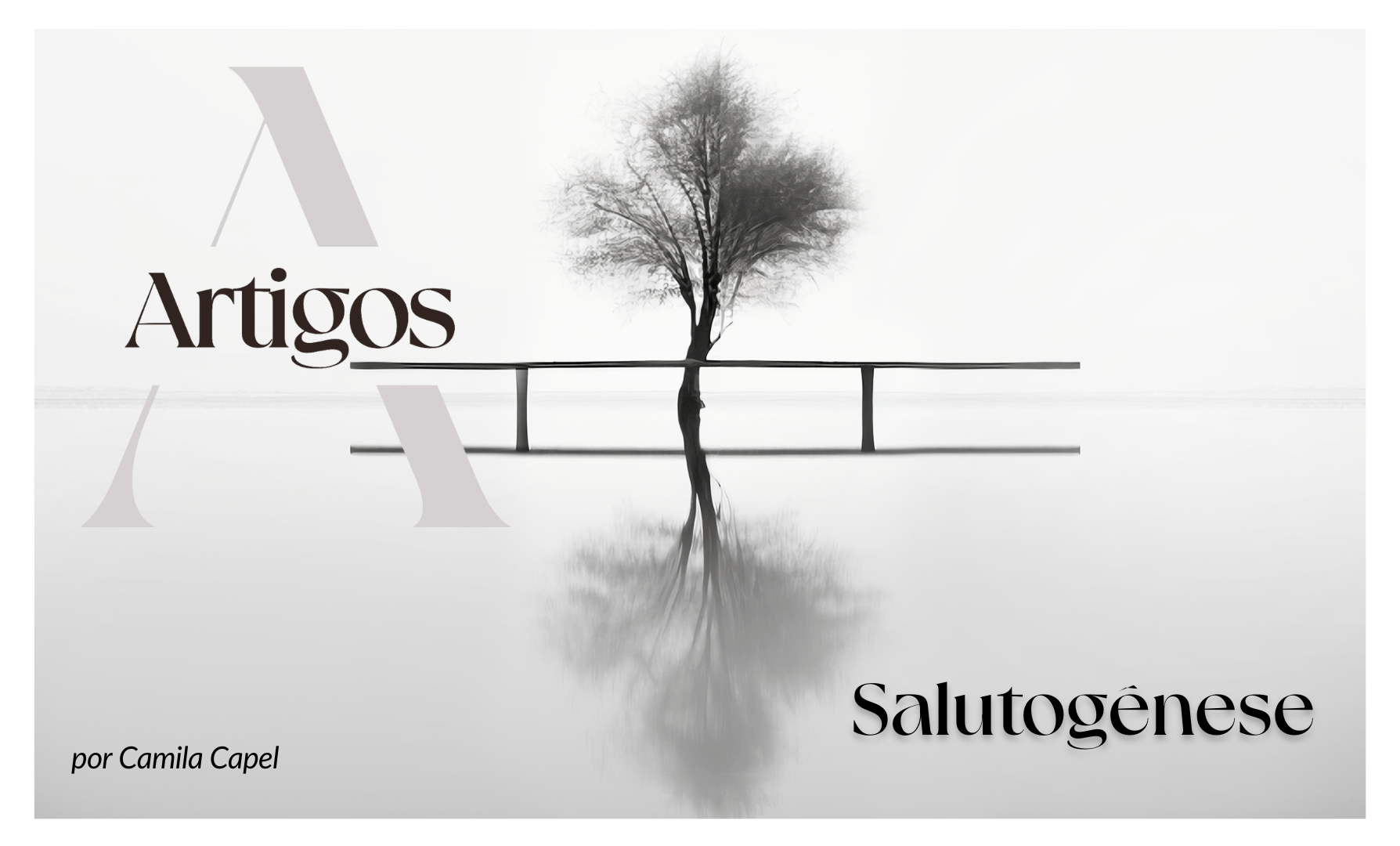 4. Salutogênese