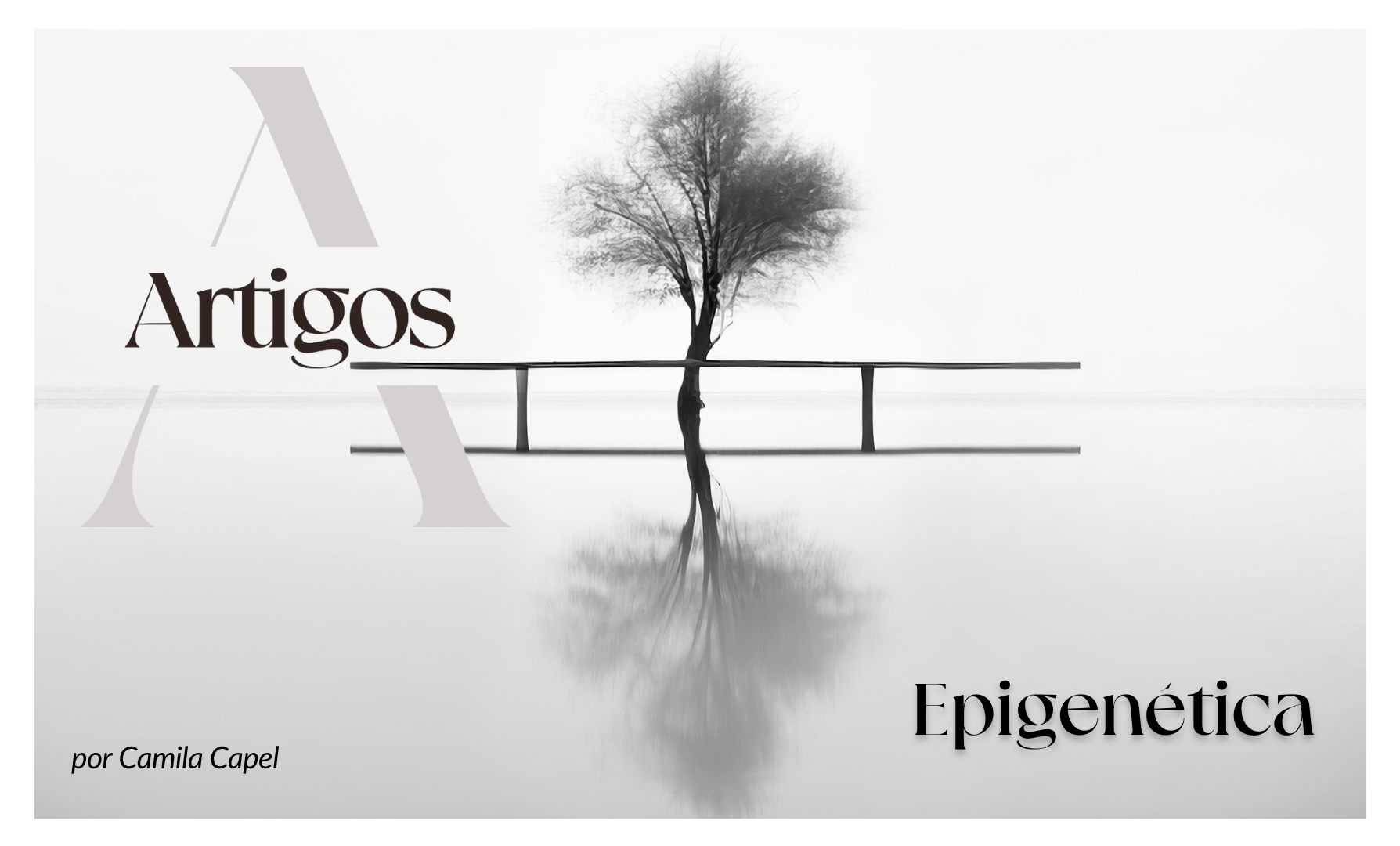5. Epigenética