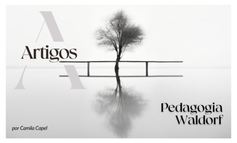 6. Pedagogia Waldorf