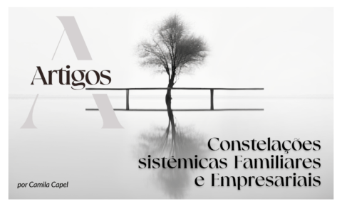 12. Constelações Sistêmicas Familiares e Empresariais