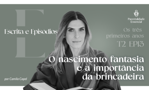 13. O nascimento fantasia e a importância da brincadeira