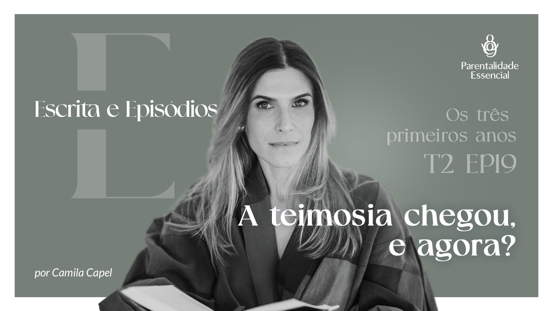 19. A teimosia chegou, e agora?
