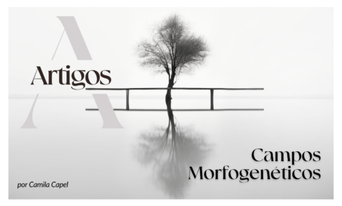 14. Campos Morfogenéticos